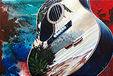 acoustic cove