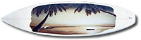 surfboard art - painting - sienna dreams